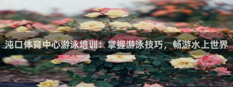 欧陆娱乐是正规平台吗安全吗可靠吗可信吗：沌口体育中心