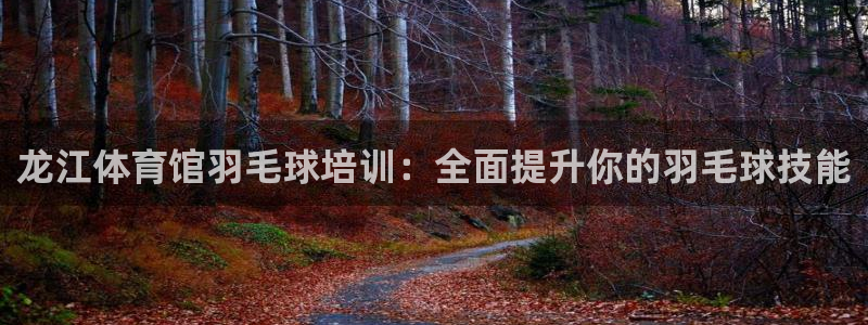 欧陆娱乐官网下载安装最新版：龙江体育馆羽毛球培训：全