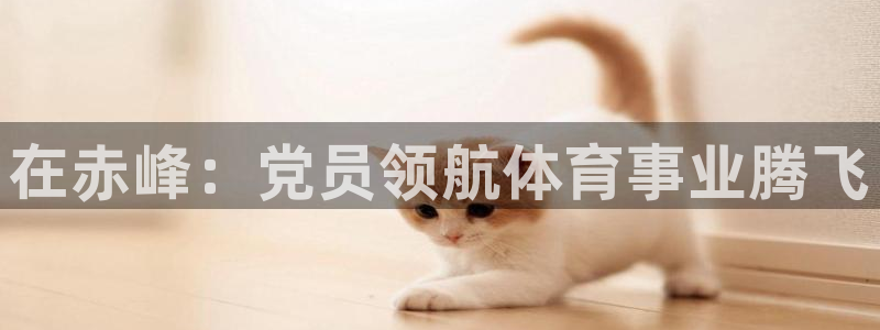 欧陆娱乐打什么方案：在赤峰：党员领航体育事业腾飞