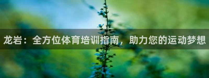 欧陆注册码：龙岩：全方位体育培训指南，助力您的运动梦