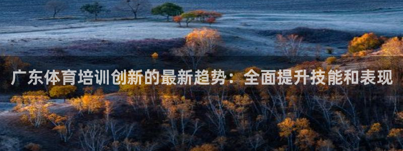 欧陆娱乐公司产品介绍怎么写：广东体育培训创新的最新趋