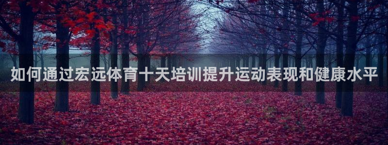 欧陆娱乐代理多少个点位：如何通过宏远体育十天培训提升
