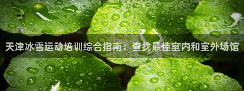 欧陆娱乐招商主管：天津冰雪运动培训综合指南：查找最佳