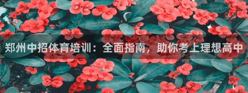 欧陆娱乐登录测速：郑州中招体育培训：全面指南，助你考