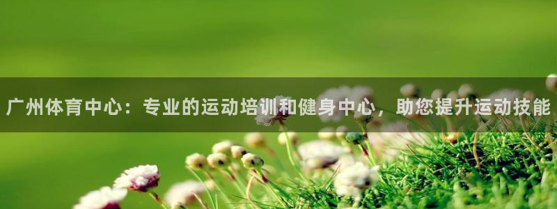 欧陆娱乐有限公司官网：广州体育中心：专业的运动培训和