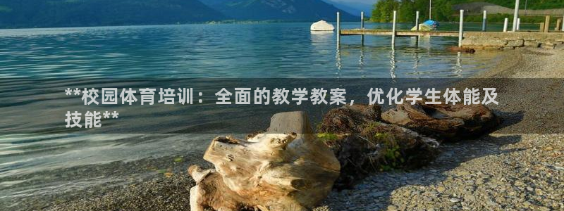 欧陆娱乐太阳：**校园体育培训：全面的教学教案，优化