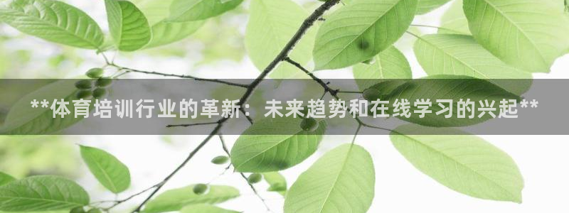 欧陆娱乐图片：**体育培训行业的革新：未来趋势和在线