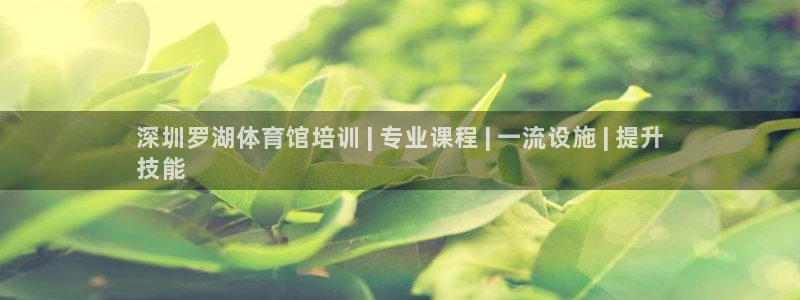 欧陆娱乐平台官网下载：深圳罗湖体育馆培训 | 专业课