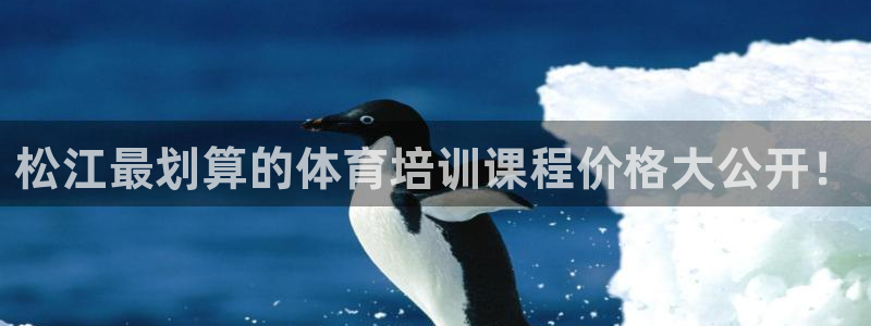 欧陆娱乐官网下载安装：松江最划算的体育培训课程价格大