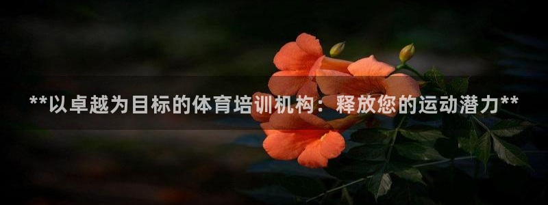 欧陆娱乐登录官网网址：**以卓越为目标的体育培训机构