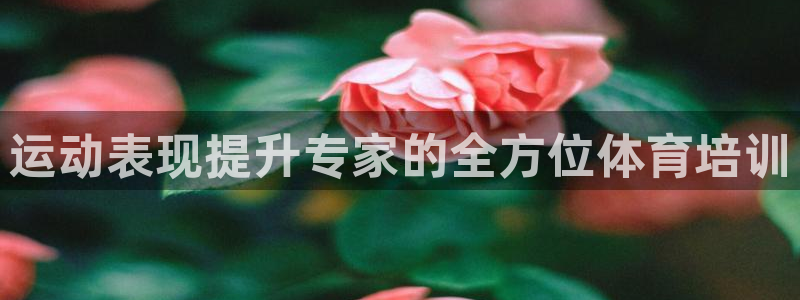 欧陆娱乐代理多少个点位啊：运动表现提升专家的全方位体