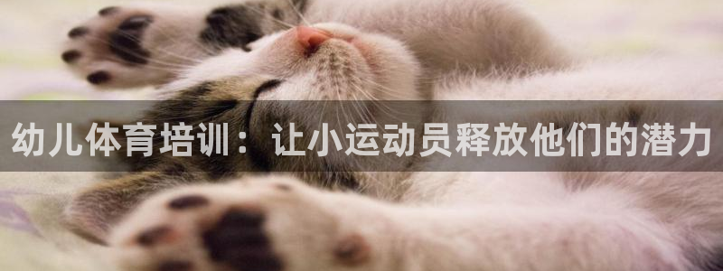 欧陆娱乐是正规平台吗安全吗可靠吗可信吗：幼儿体育培训