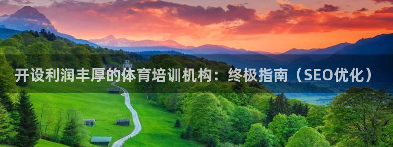 欧陆游戏平台：开设利润丰厚的体育培训机构：终极指南（