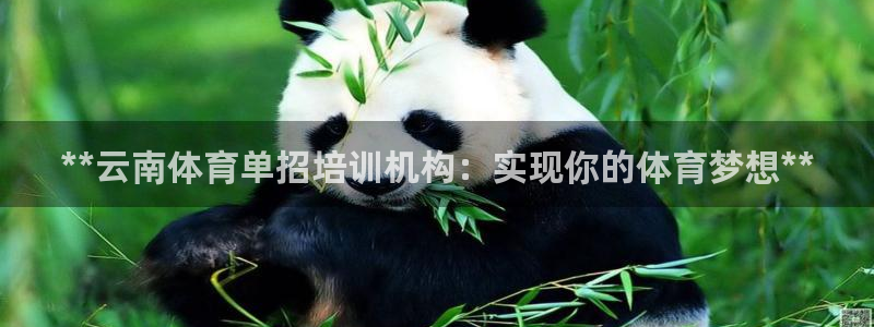 欧陆游戏平台：**云南体育单招培训机构：实现你的体育