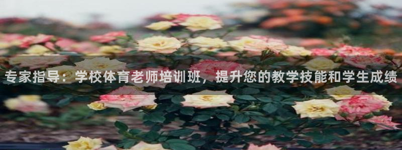 欧陆娱乐客服：专家指导：学校体育老师培训班，提升您的