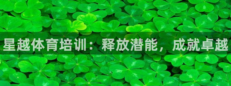 欧陆娱乐登录测速软件：星越体育培训：释放潜能，成就卓