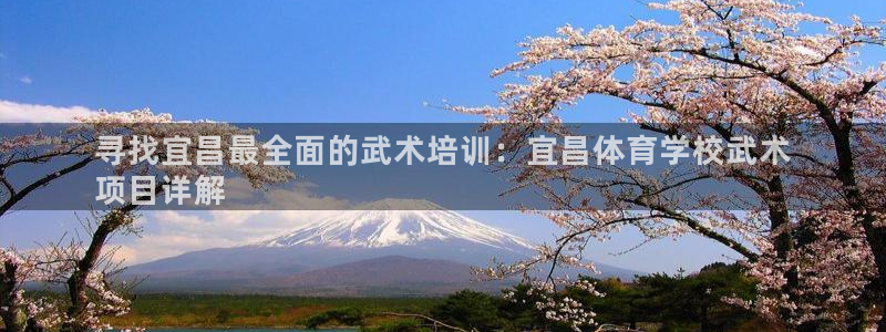 欧陆娱乐注册代理多少钱一年：寻找宜昌最全面的武术培训