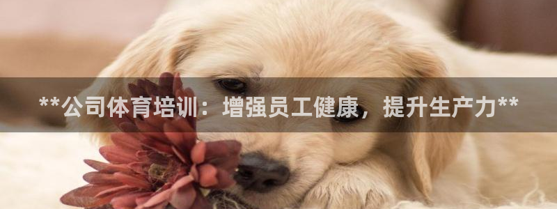 欧陆娱乐登陆官网入口：**公司体育培训：增强员工健康