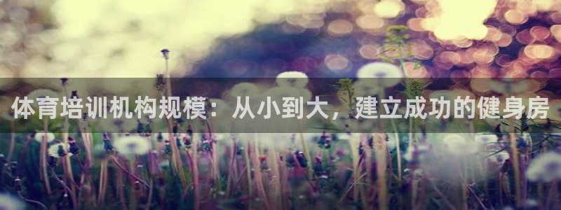 欧陆娱乐官方网站入口：体育培训机构规模：从小到大，建