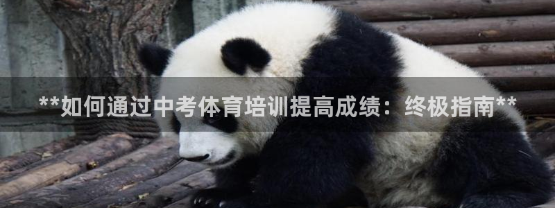 欧陆娱乐的故事有哪些：**如何通过中考体育培训提高成