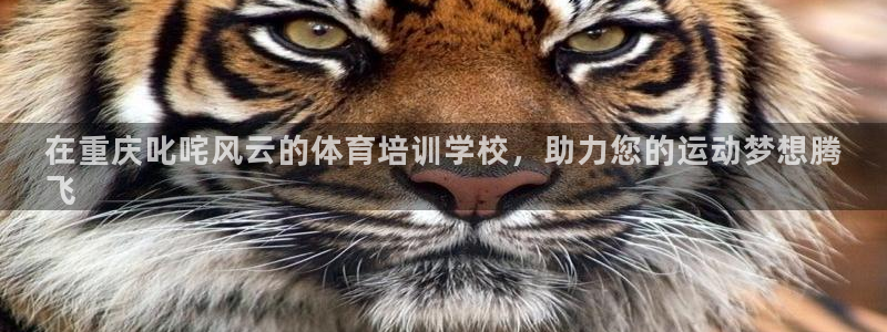 欧陆娱乐平台登录：在重庆叱咤风云的体育培训学校，助力