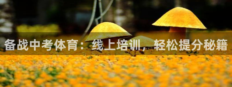 欧陆娱乐代理多少个点位可以赚钱：备战中考体育：线上培
