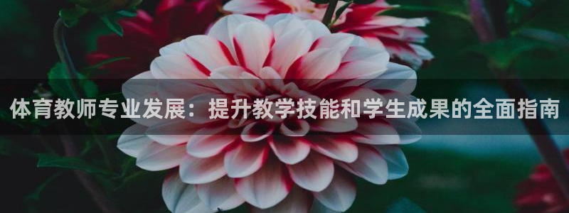 欧陆娱乐测速网站：体育教师专业发展：提升教学技能和学