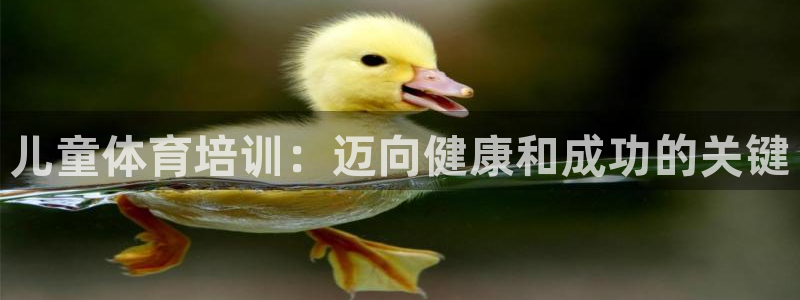欧陆娱乐平台登陆地址是什么样的：儿童体育培训：迈向健
