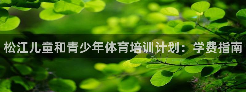 欧陆娱乐平台登录不上：松江儿童和青少年体育培训计划：