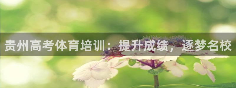 欧陆娱乐系统教程：贵州高考体育培训：提升成绩，逐梦名