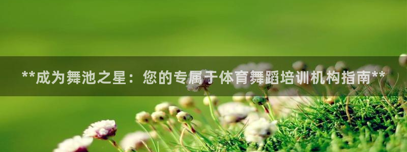 欧陆娱乐官方：**成为舞池之星：您的专属于体育舞蹈培