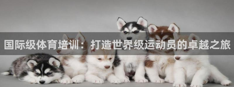 欧陆娱乐官方网站下载：国际级体育培训：打造世界级运动