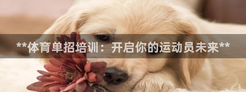 欧陆娱乐总代理是谁：**体育单招培训：开启你的运动员