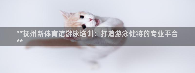 欧陆娱乐有限公司招聘：**抚州新体育馆游泳培训：打造