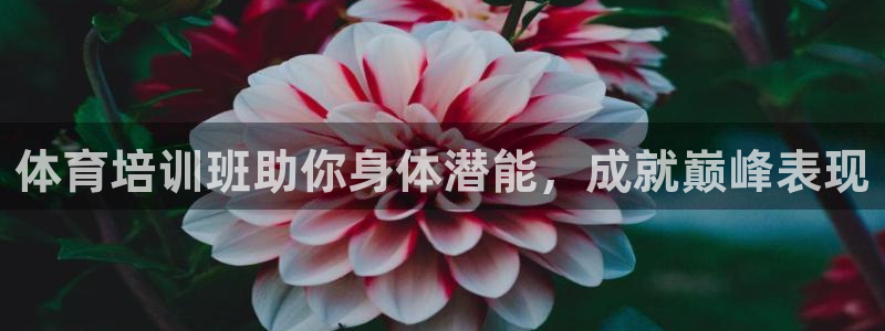 欧陆娱乐游戏特色：体育培训班助你身体潜能，成就巅峰表
