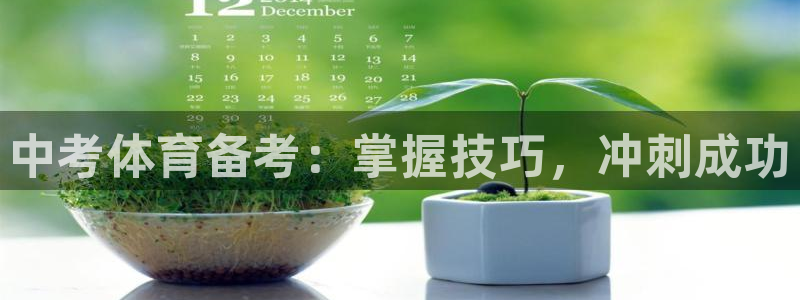 欧陆娱乐公司产品介绍大全：中考体育备考：掌握技巧，冲刺成功
