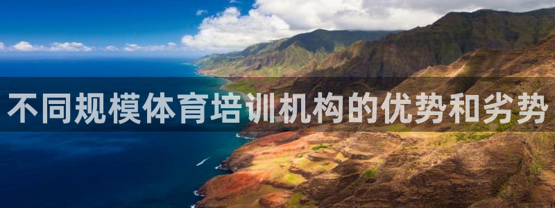 欧陆娱乐平台咋样啊知乎：不同规模体育培训机构的优势和