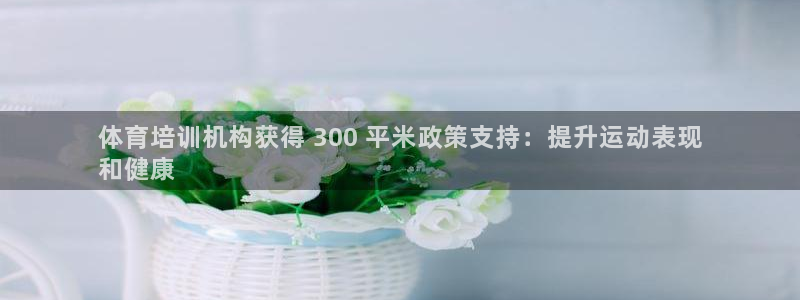 欧陆娱乐游戏：体育培训机构获得 300 平米政策支持