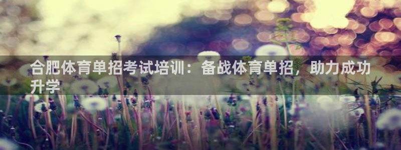 欧陆娱乐脚本怎么用：合肥体育单招考试培训：备战体育单招，助力