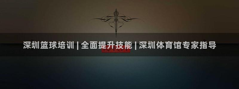 重庆欧陆娱乐有限公司地址：深圳篮球培训 | 全面提升技能 |