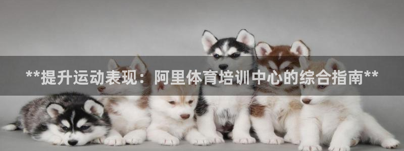 欧陆娱乐平台登陆地址：**提升运动表现：阿里体育培训
