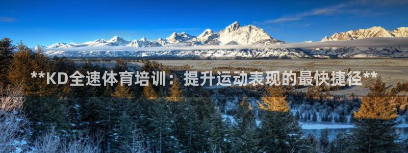 欧陆娱乐app打不开怎么回事儿：**KD全速体育培训