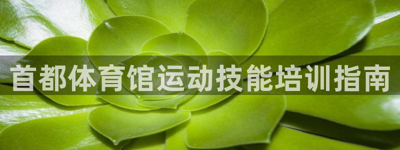 欧陆娱乐游戏特色：首都体育馆运动技能培训指南