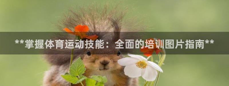 欧陆娱乐挂机怎么玩的：**掌握体育运动技能：全面的培