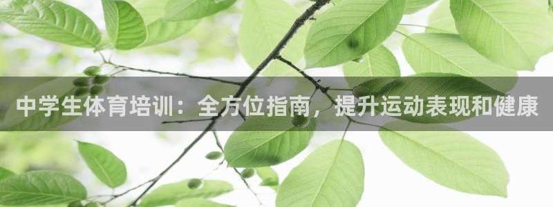 欧陆娱乐测试网站：中学生体育培训：全方位指南，提升运