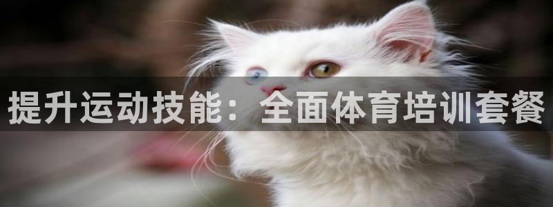 欧陆娱乐代理 贴吧怎么样：提升运动技能：全面体育培训