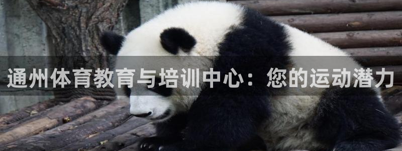 欧陆娱乐登陆平台官网：通州体育教育与培训中心：您的运