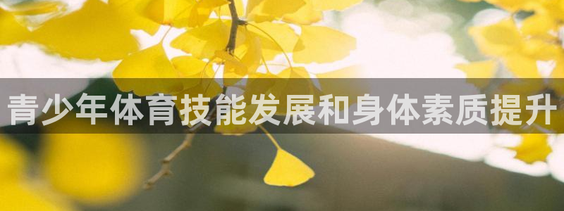 欧陆娱乐挂机项目：青少年体育技能发展和身体素质提升