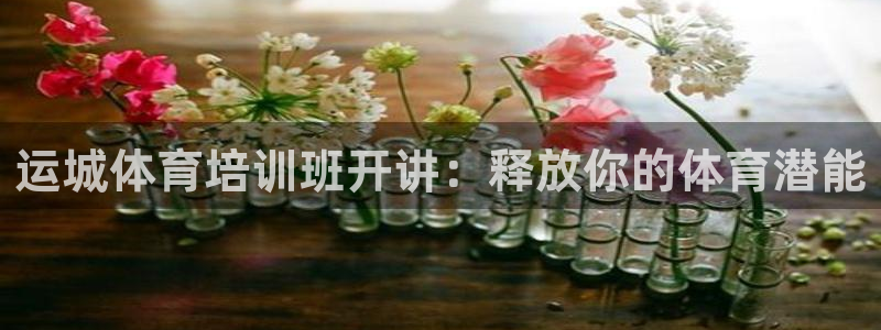 欧陆平台：运城体育培训班开讲：释放你的体育潜能