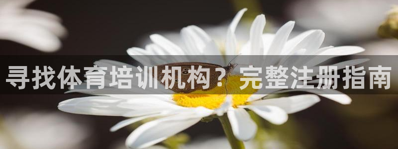 欧陆注册码：寻找体育培训机构？完整注册指南